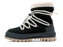 PALLASHOCK HIVER