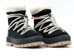 PALLASHOCK HIVER